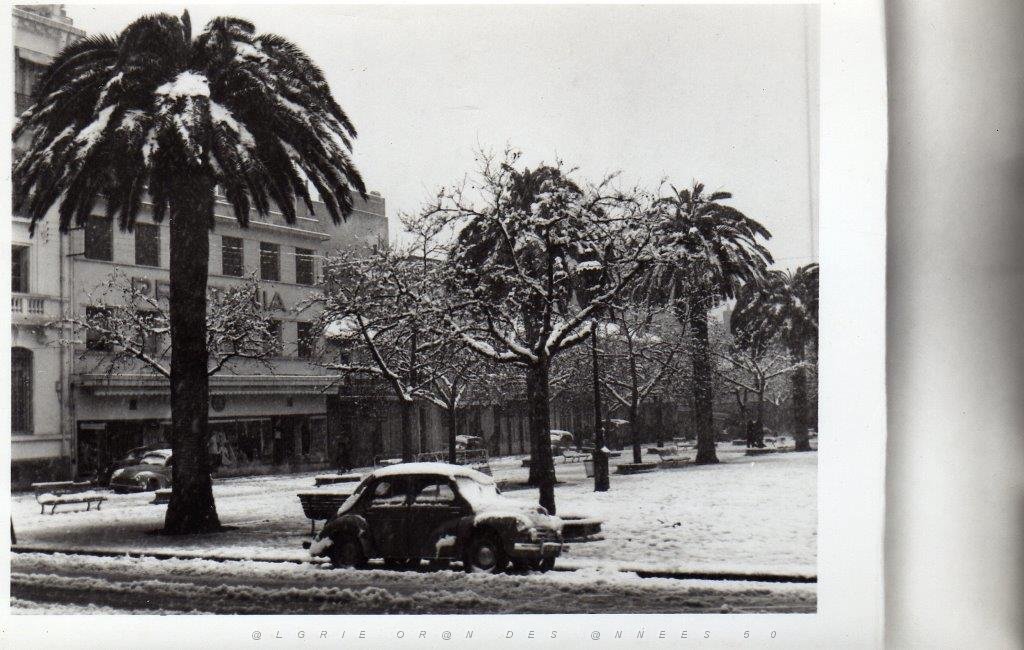 SIDI BEL ABBES 1954 SOUS LA NEIGE  (7).jpg